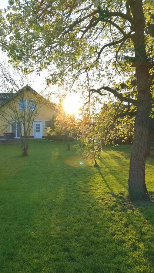 Ferienwohnung Luba Lipa Drachhausen 외부 사진